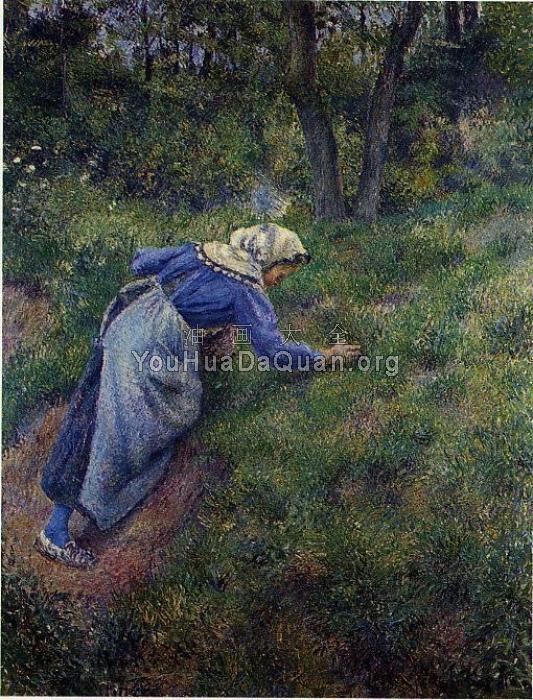 Peasant Gathering Grass - 卡米耶·毕沙罗